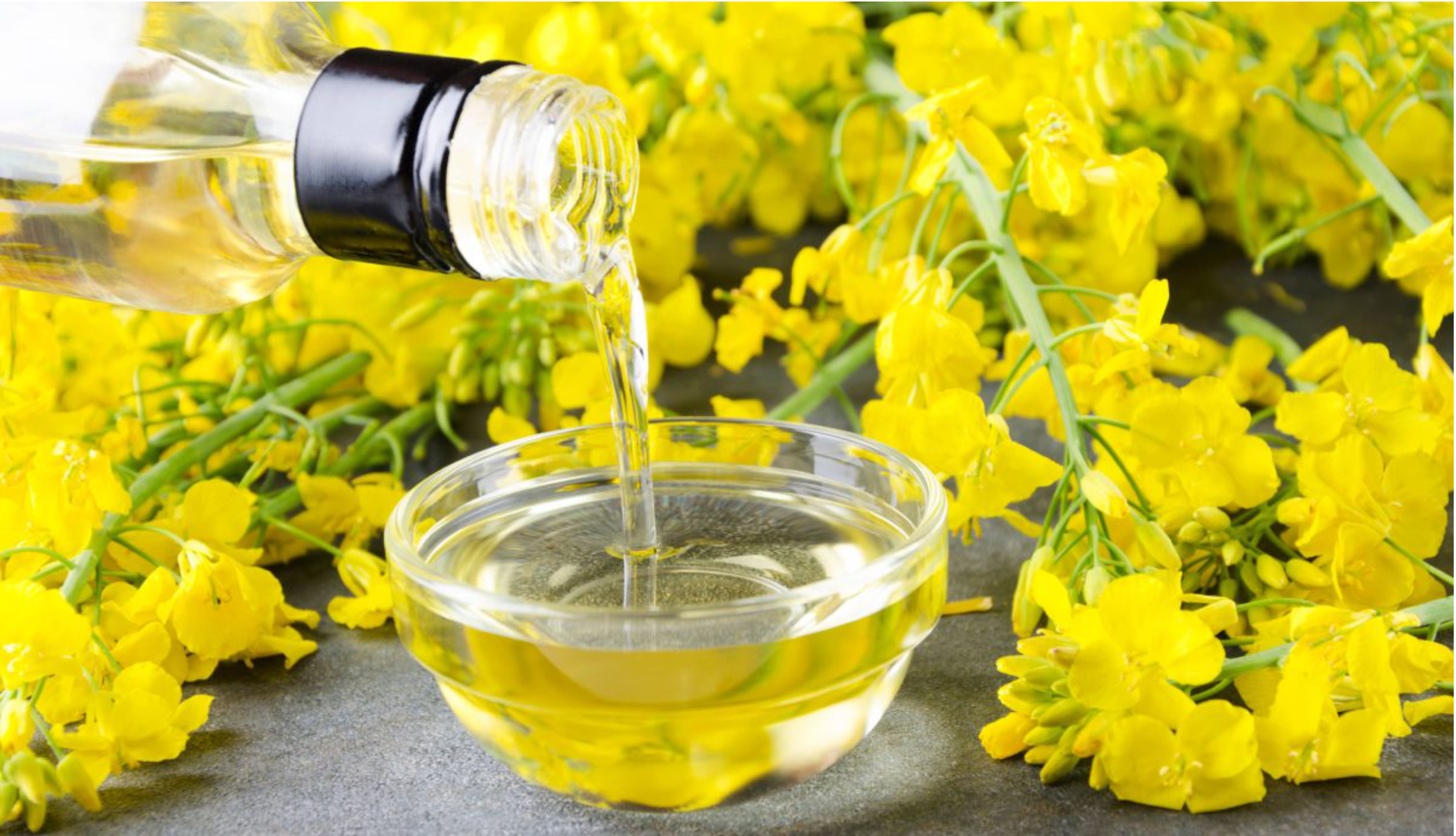 Canola Oil: Canada’s Kitchen Essential